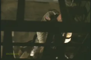 Ally_Sheedy-Macon_County_Jail